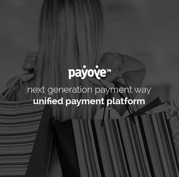 Payment Solution Website Design and Development